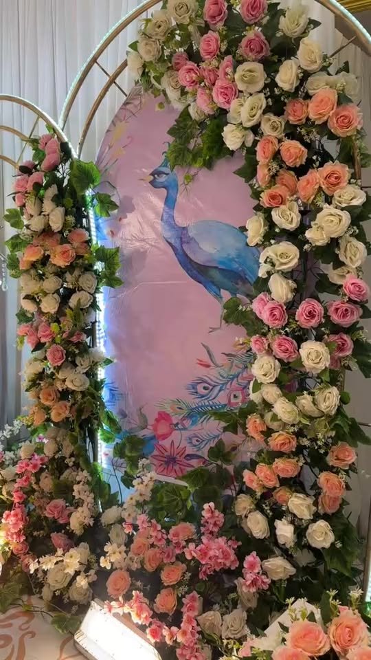 497104847 1229994261888868 3591595651062510444 n